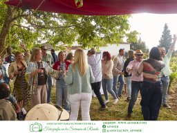 Festival Mar de Tethys 2026 - Bodega Vetas